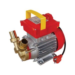 Αντλία Μετάγγισης Μπρούντζινη 25 CE 0,8HP 2850RPM 102102 Rover Pompe