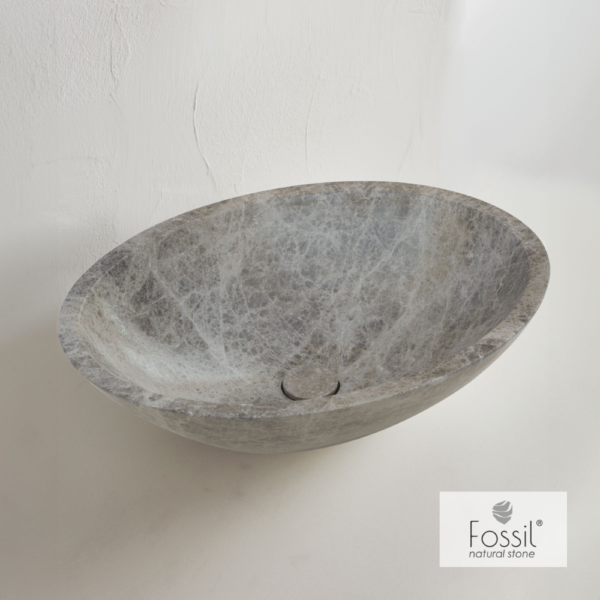 517-DR55-524 FOSSIL